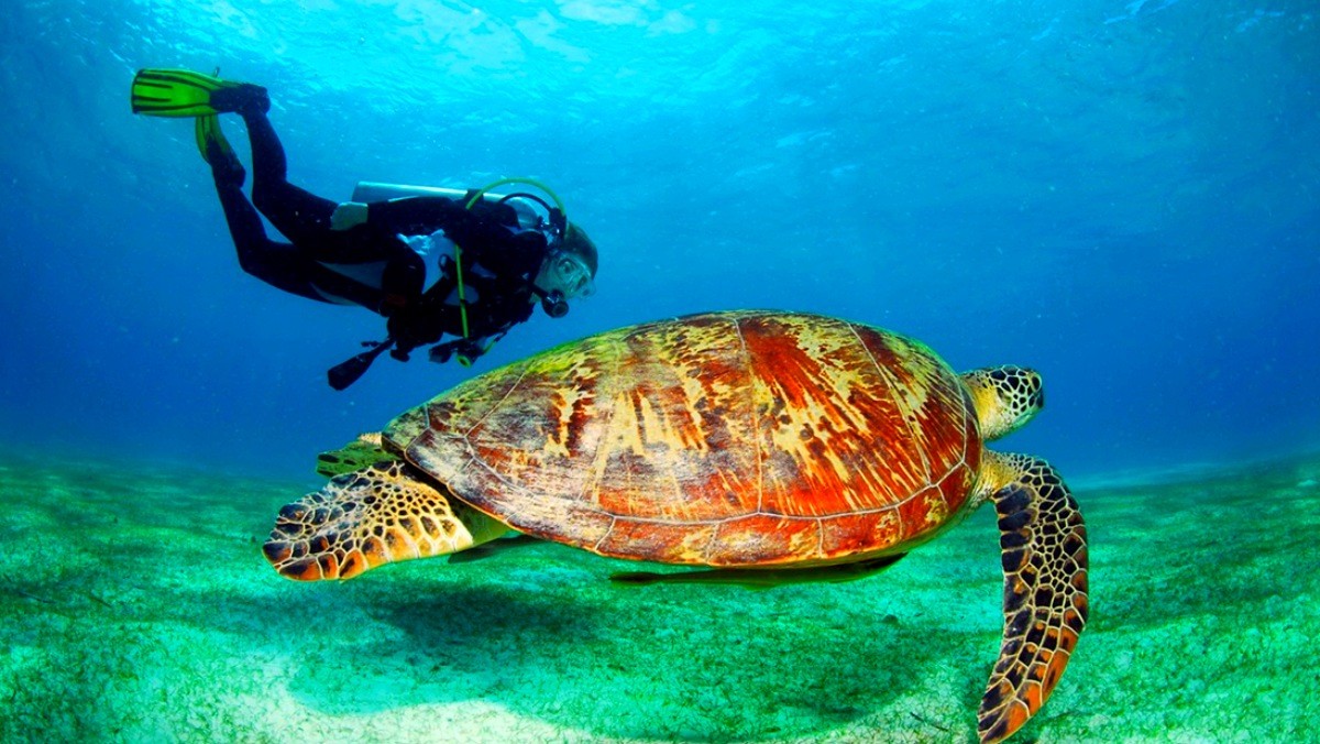 부나켄 해양국립공원. / 스카이스캐너 제공