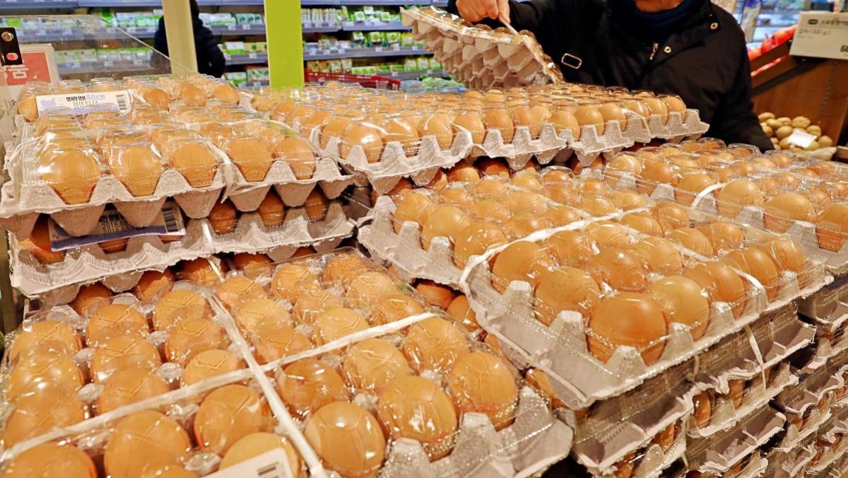 마트에서 계란 고르는 시민. 자료사진. / 뉴스1