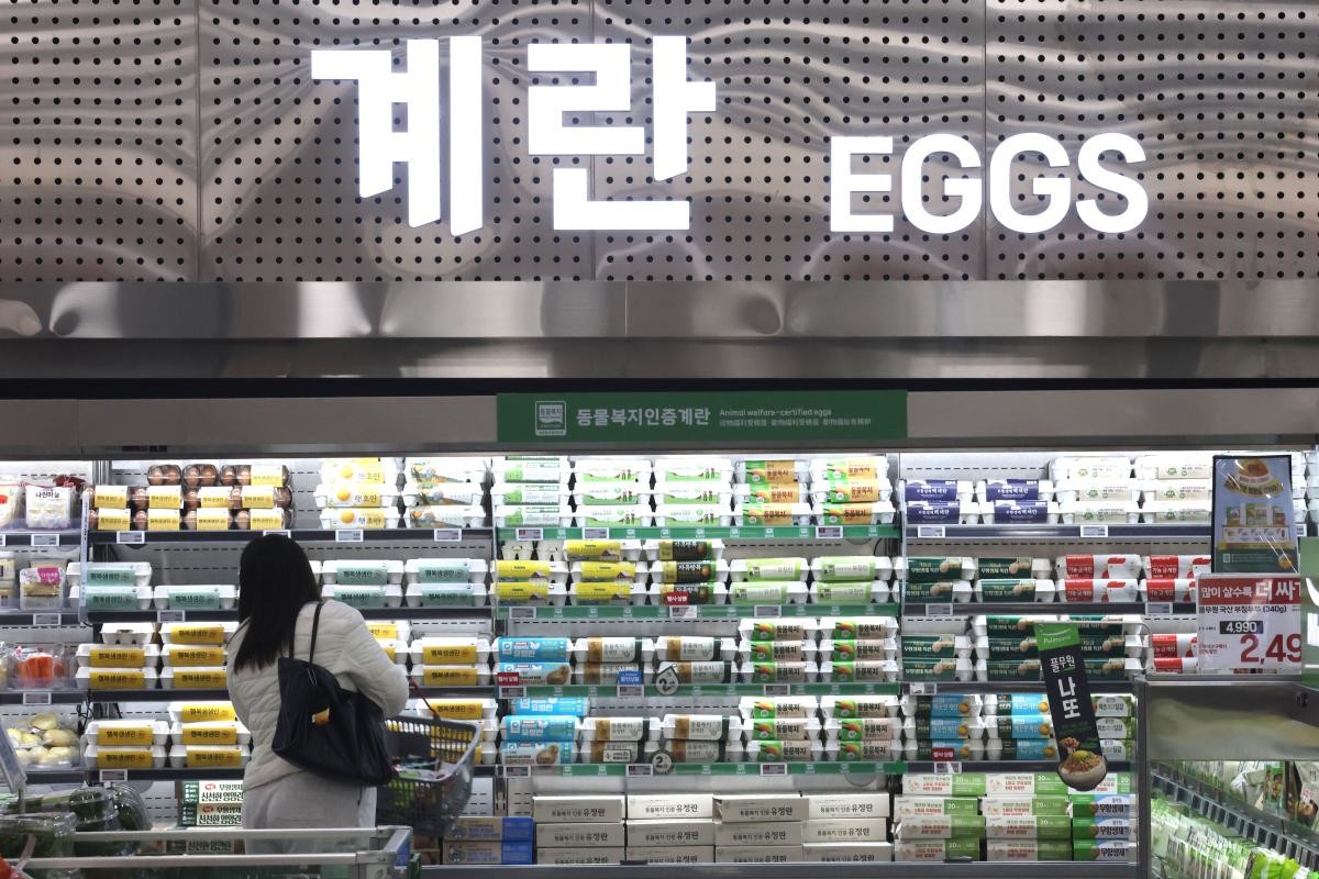 한국 마트 계란 코너. 자료사진. /뉴스1