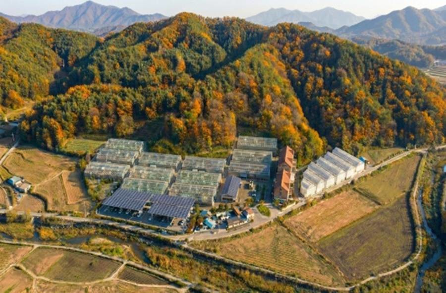 ‘임산물 스마트팜 실증단지’ 조감도/경북도