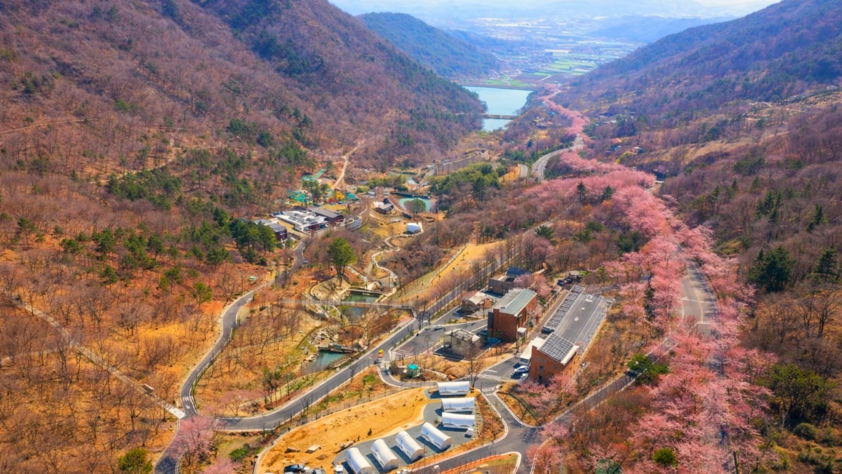 월아산 숲속의 진주 일원. / 진주시 공식 블로그, AI