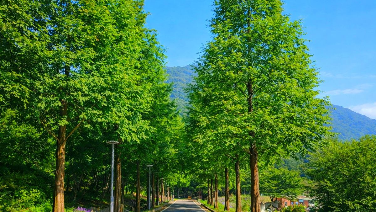 월아산 숲속의 진주. / 진주시 공식 블로그, AI