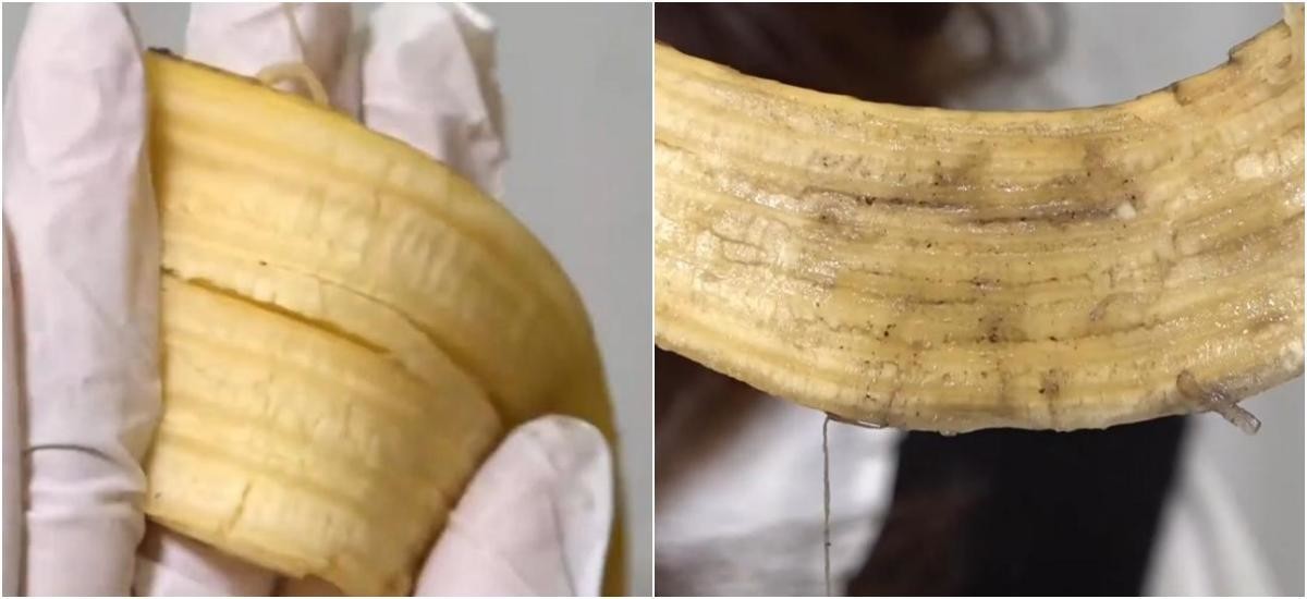 가죽 신발로 문지르기 전후의 바나나껍질 상태. / 유튜브 'JTBC Life'