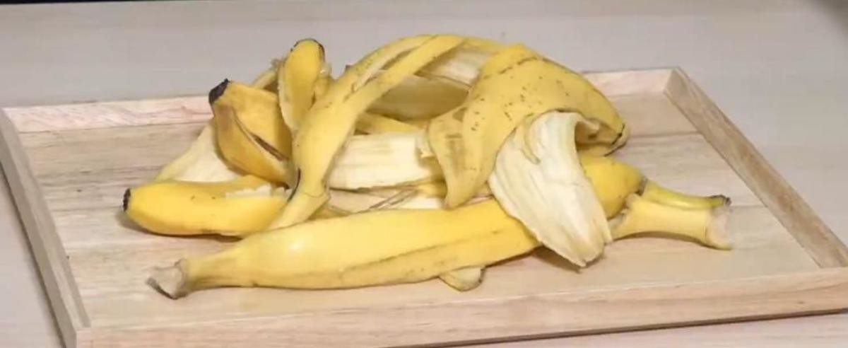 활용도 만점인 바나나껍질. / 유튜브 'JTBC Life'