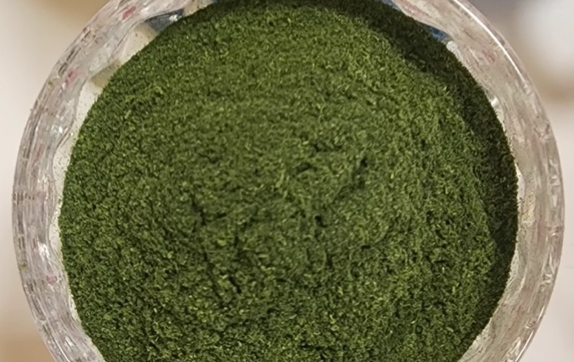 유튜브 '불량주부조여사'