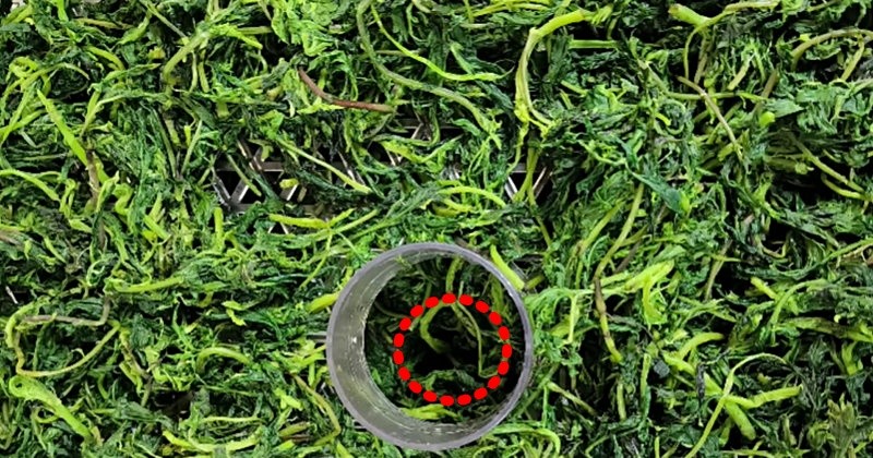 유튜브 '불량주부조여사'