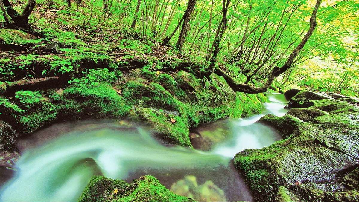 태백 검룡소 / 태백시-태백관광 홈페이지