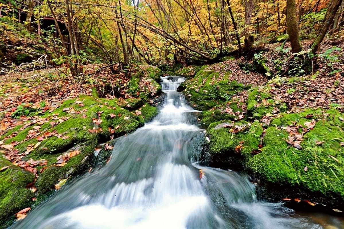 검룡소 계곡 / ⓒ한국관광 콘텐츠랩