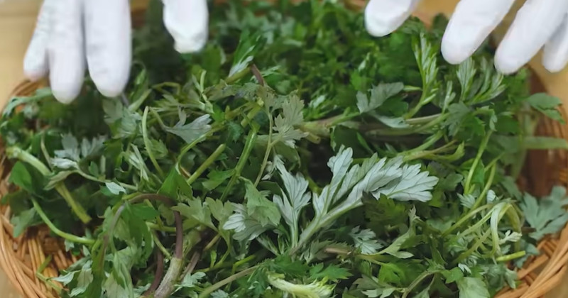 유튜브 '함께해요 맛나요리'