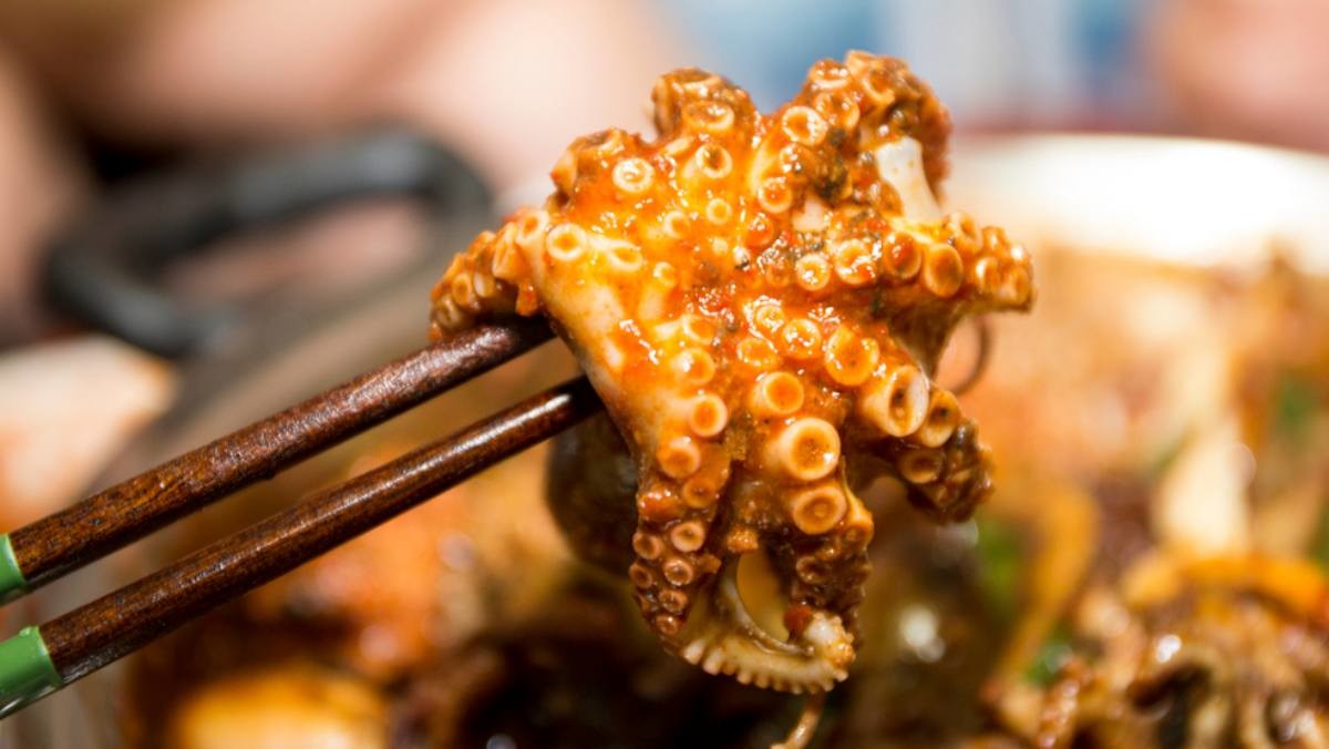 주꾸미 볶음 사진  / Let Geo Create-shutterstock.com