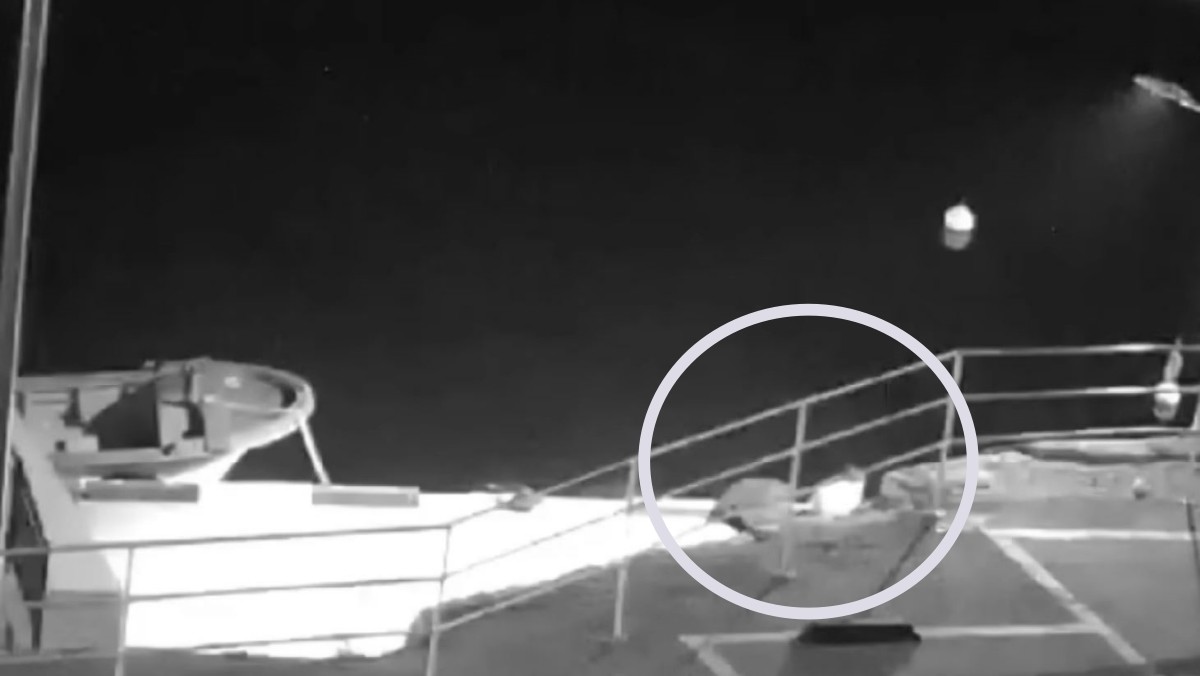 포항해양경찰서, SBS 보도화면 캡처