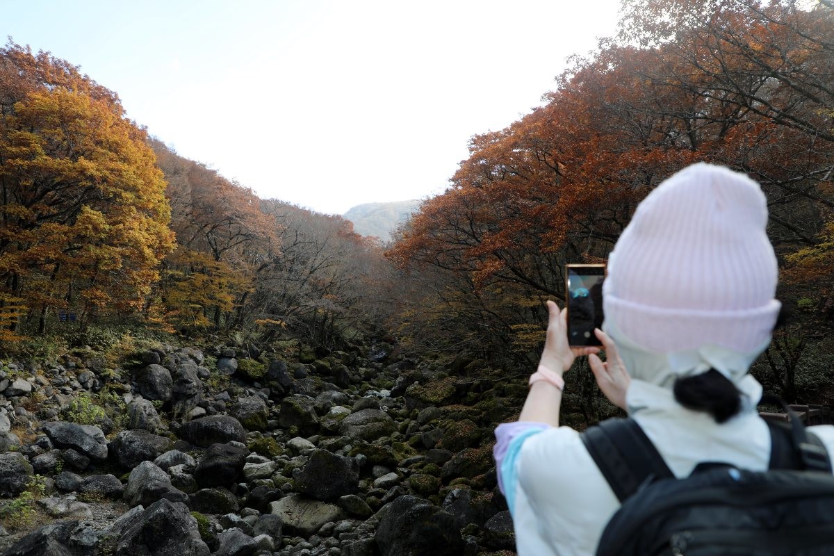 한라산 어리목교에서 한 탐방객이 단풍을 즐기고 있다. / 뉴스1