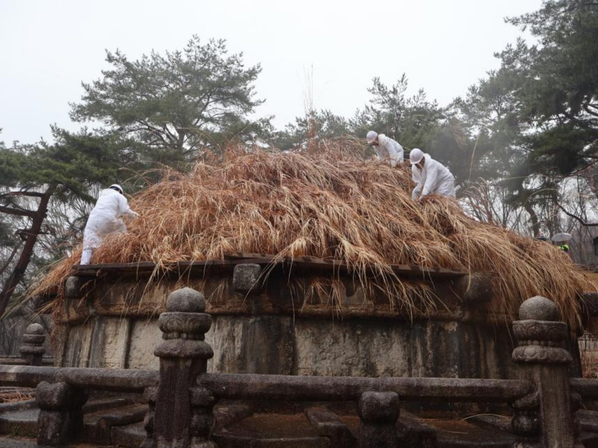청완예초의 거행 모습 / 국가유산청 궁능유적본부 제공