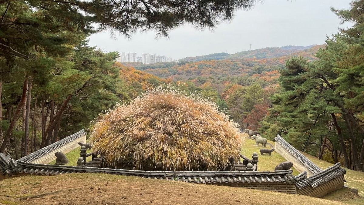 태조 건원릉 억새 / 위키트리 정혁진