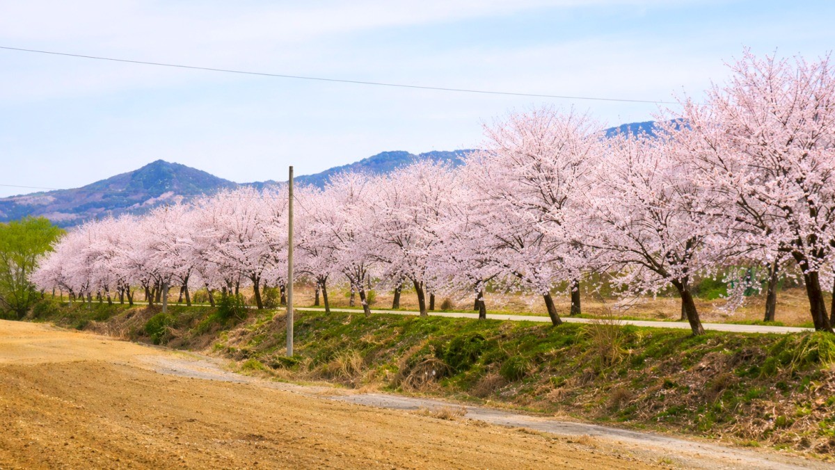 좌구산휴양랜드. 기사 내용 토대로 AI툴 활용해 제작한 자료사진.