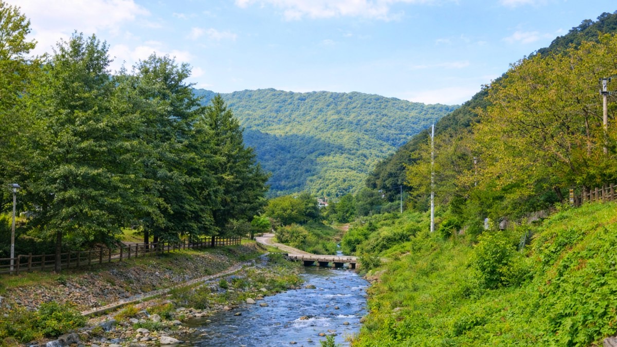 좌구산휴양랜드. 기사 내용 토대로 AI툴 활용해 제작한 자료사진.