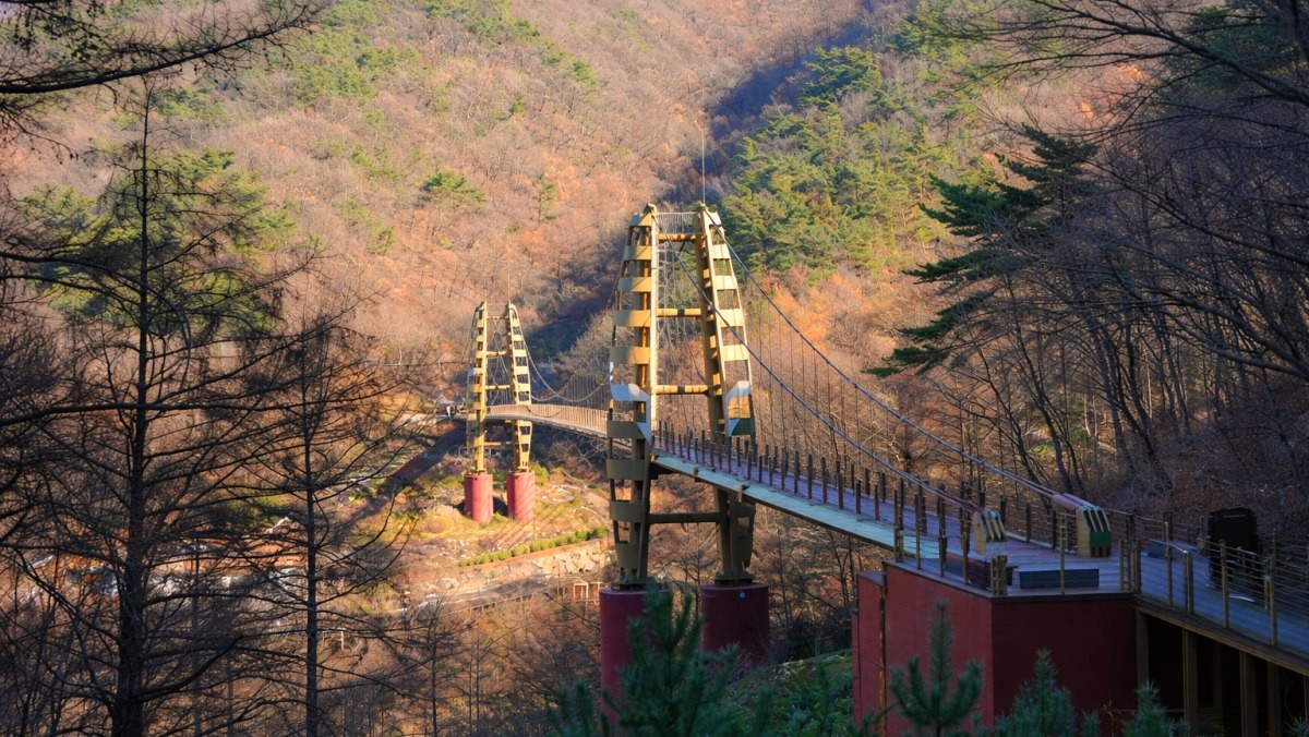 좌구산 명상구름다리. 기사 내용 토대로 AI툴 활용해 제작한 자료사진.