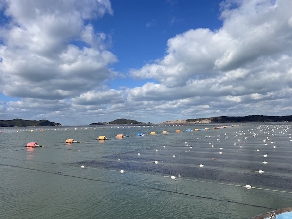 김 양식장 / 군산시