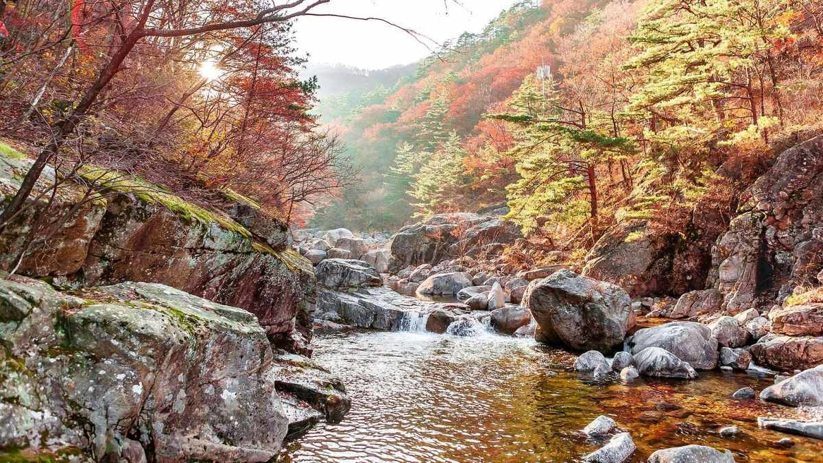 소금강 / 강릉시-비짓강릉 홈페이지