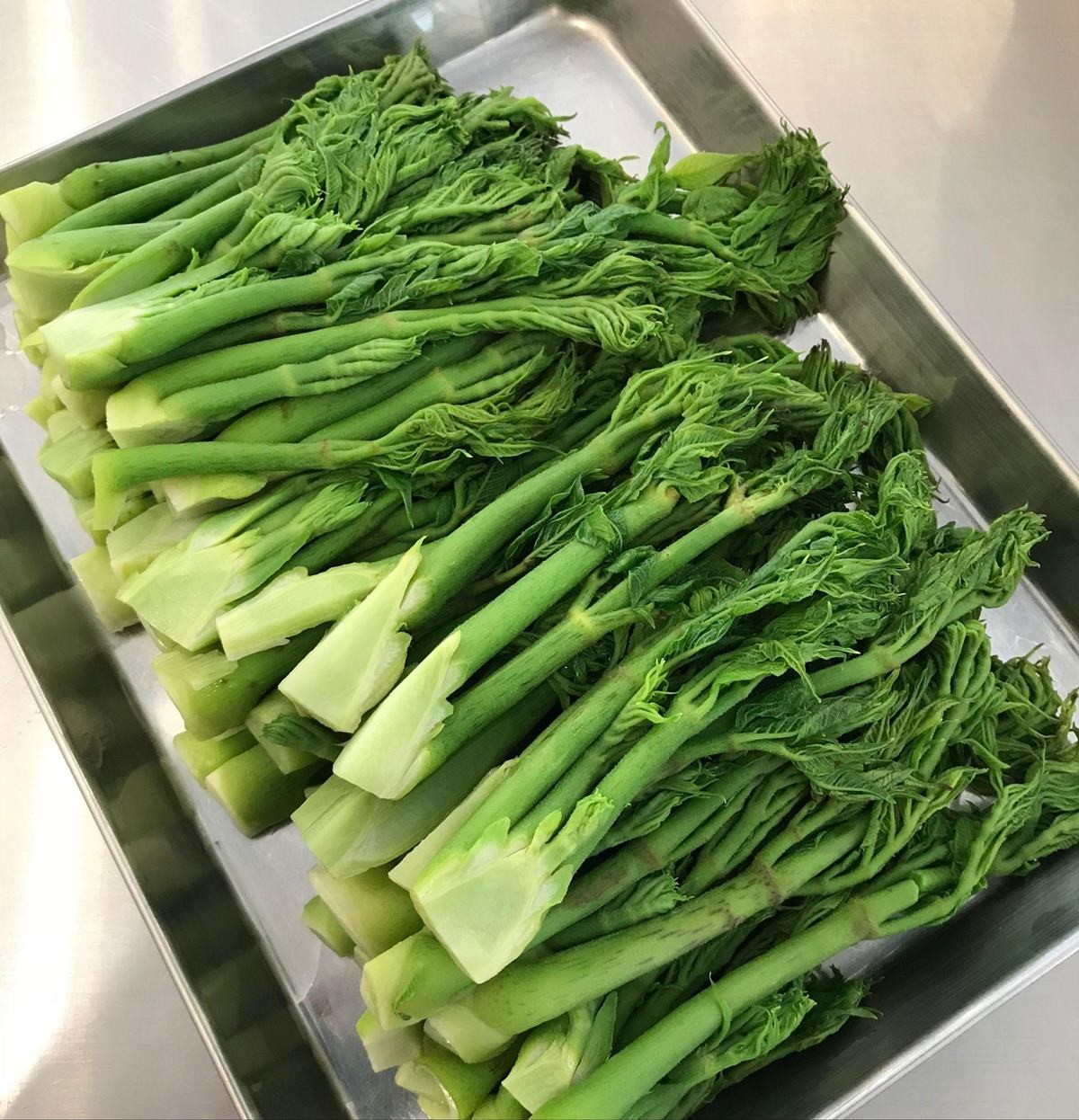 두릅 모습. 기사 이해를 돕기 위한 자료 사진 / 연합뉴스