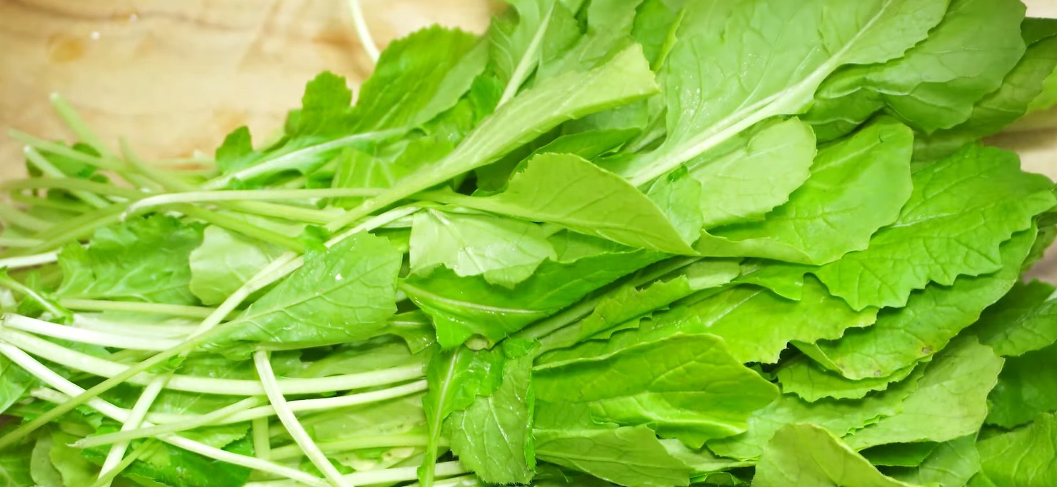 유튜브 '헬로우미자씨'