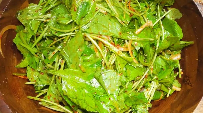 유튜브 '헬로우미자씨'