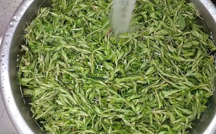 유튜브 '주부나라'