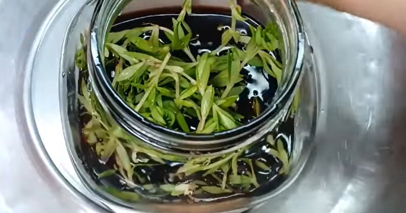 유튜브 '주부나라'