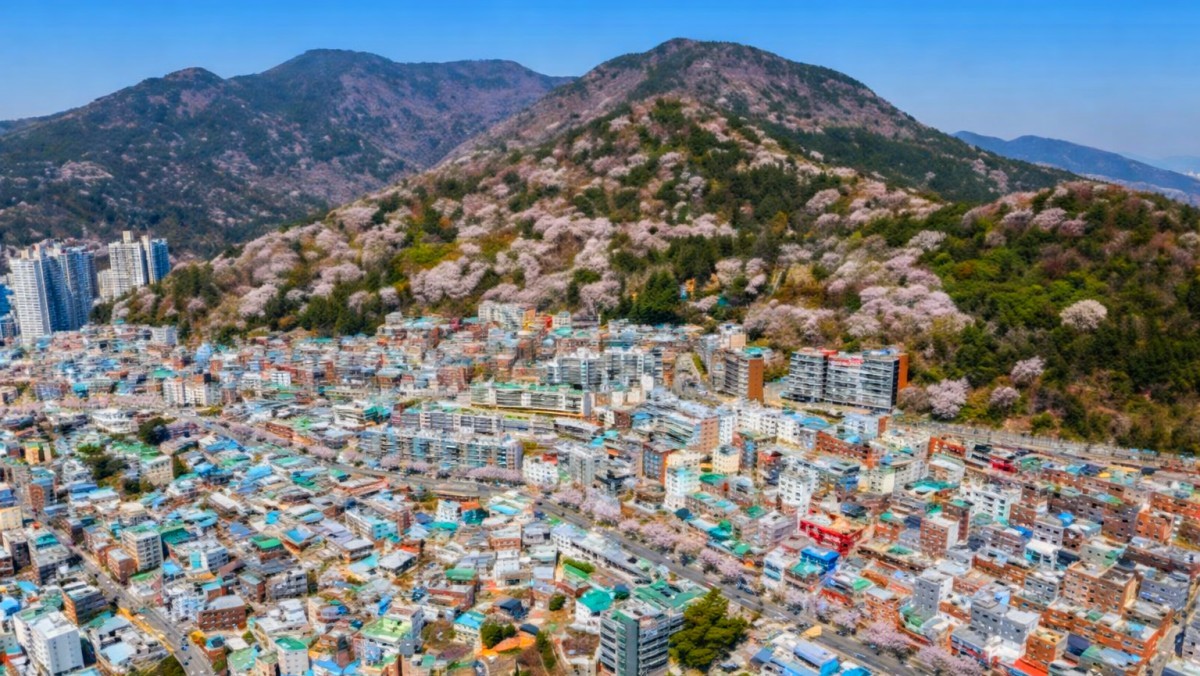 망양로. / 부산시 공식 블로그, AI