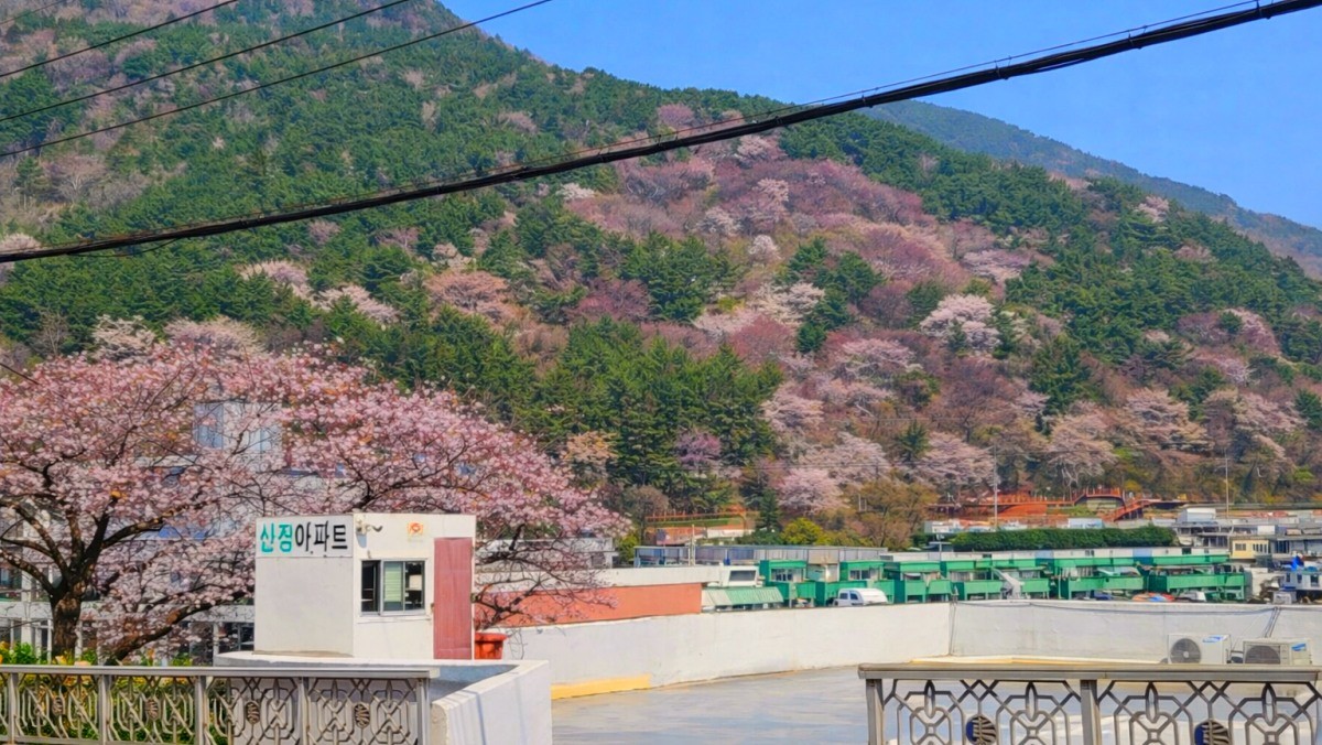 망양로. / 부산시 공식 블로그, AI