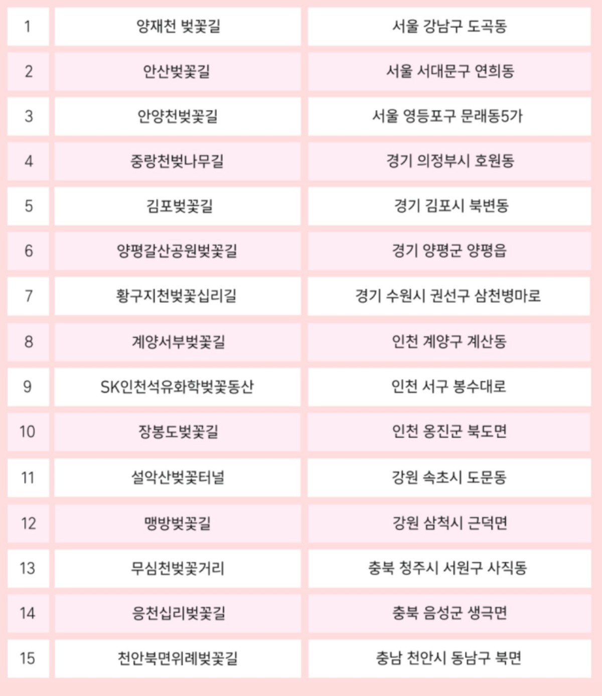 티맵이 추천한 벚꽃 명소 30곳 / 티맵모빌리티 제공