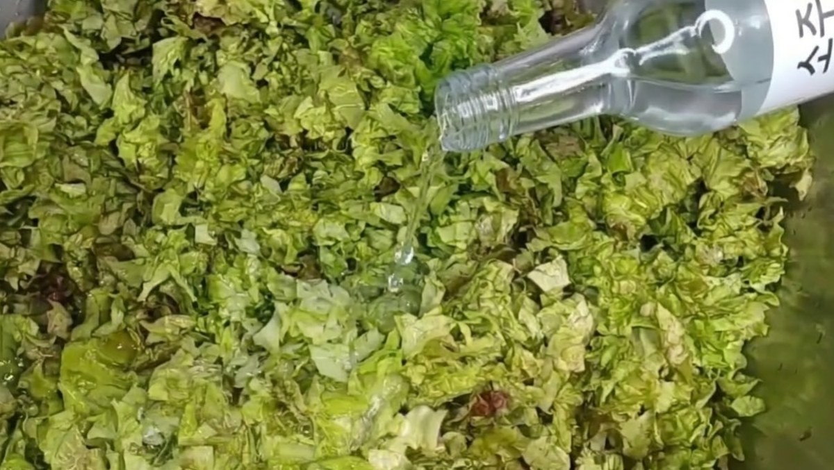 상추에 소주를 붓는 모습. 유튜브 채널 '주부나라' 영상 속 장면을 AI로 재생성한 모습.