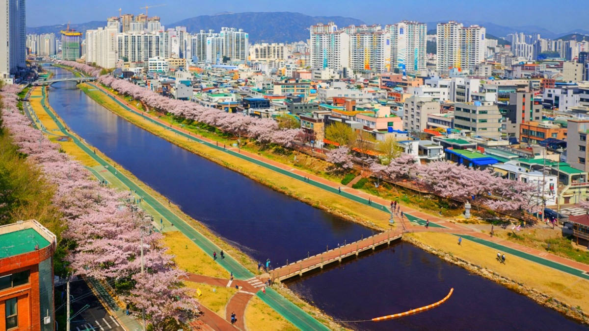 부산 온천천 카페거리. / 부산시 공식 블로그, AI