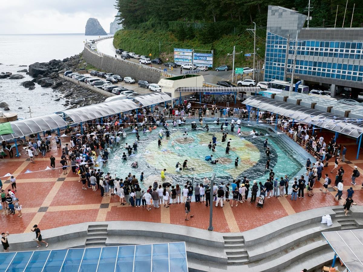 지난해 울릉도오징어축제 전경/울릉군