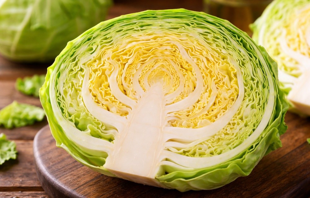 기사를 바탕으로 AI가 생성한 양배추 자료사진.
