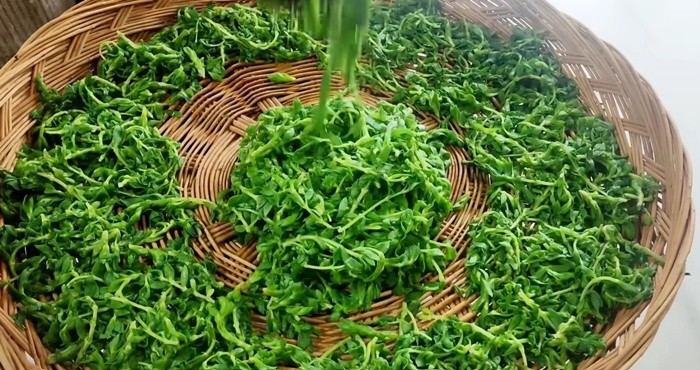 유튜브 'sogyo table 소교식탁TV'