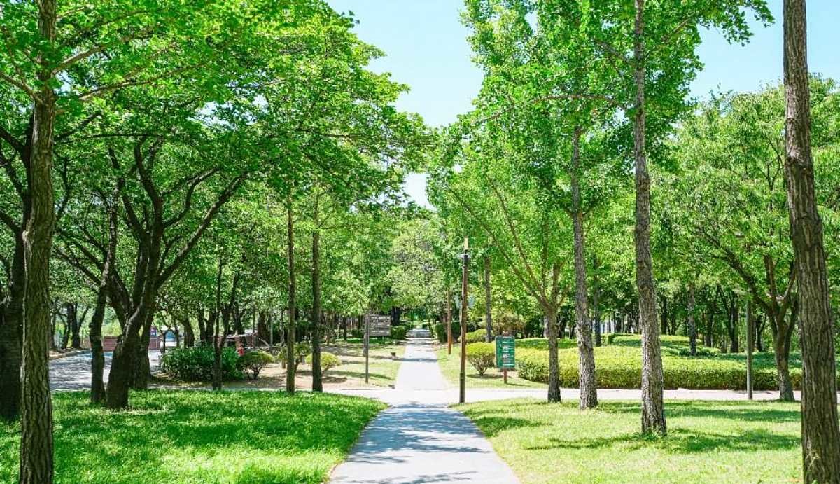 선유도공원 / ⓒ한국관광 콘텐츠랩