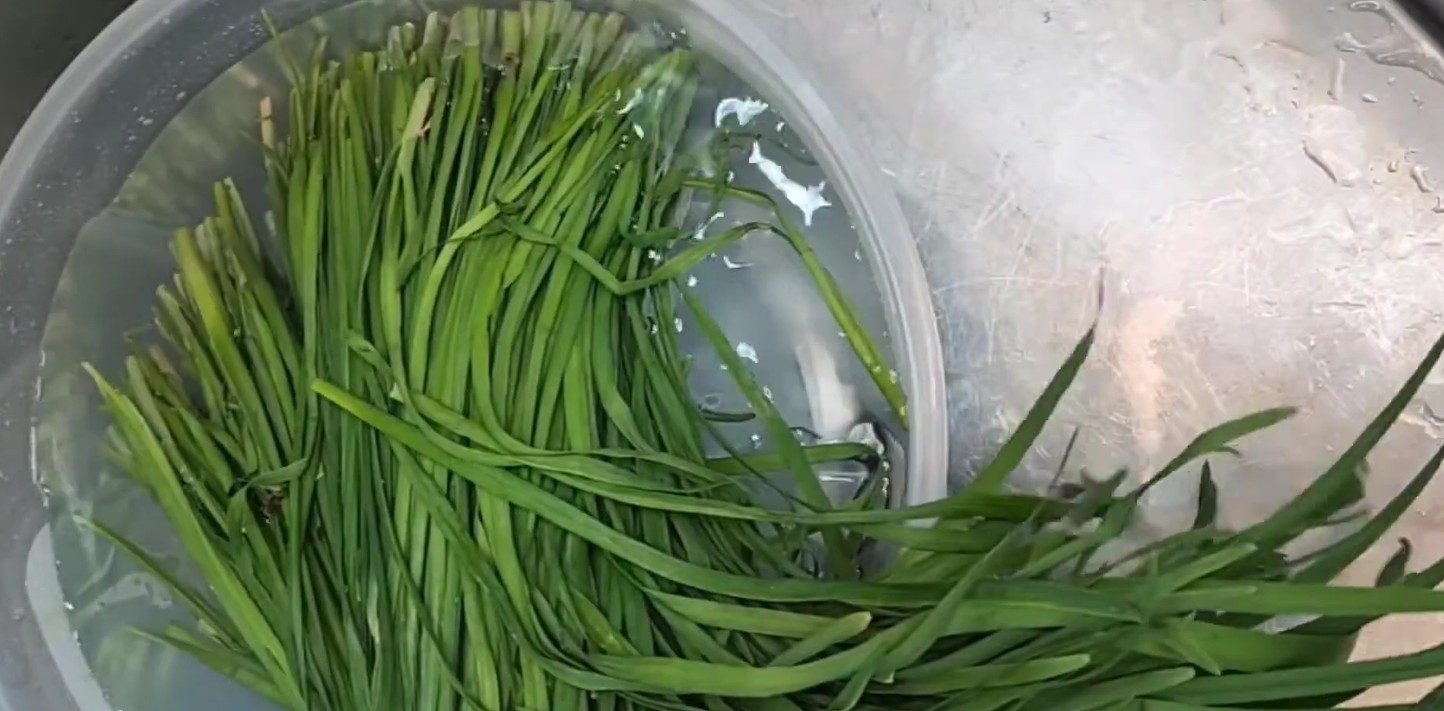 유튜브 'GeonDana'