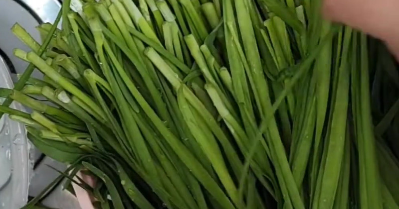 유튜브 'GeonDana'