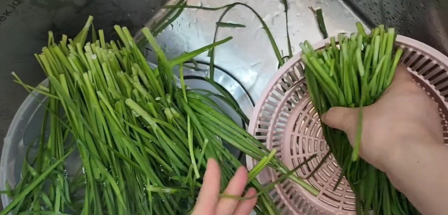 유튜브 'GeonDana'