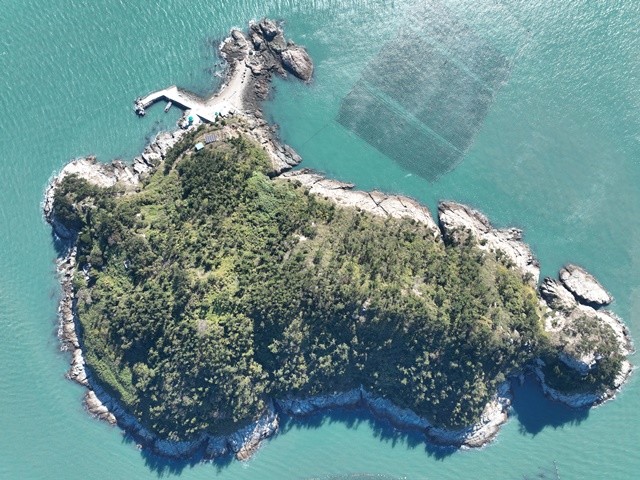 노화읍 대제원도 전경