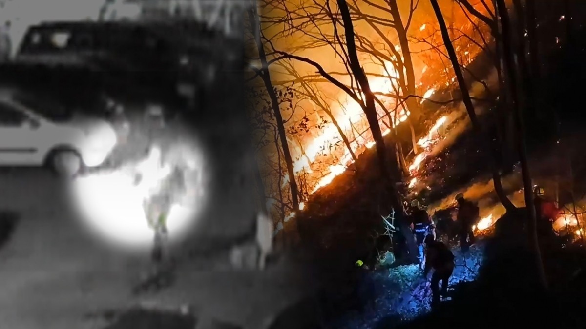 SBS ‘궁금한 이야기 Y’ 미리보기 페이지에서 제공하는 자료 사진. / SBS 제공