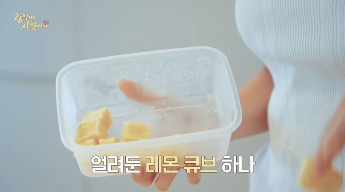 얼린 레몬큐브가 들어있는 통. / 유튜브 '26학번 지원이요'