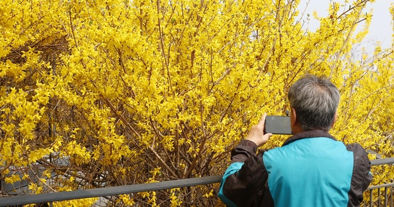 기사의 이해를 돕기 위한 사진 / 뉴스1