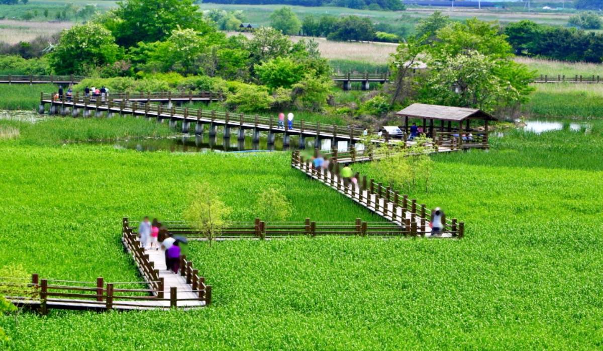 안산갈대습지공원 / 경기관광공사-경기관광플랫폼