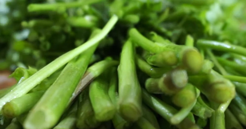 유튜브 '엄마의집밥'