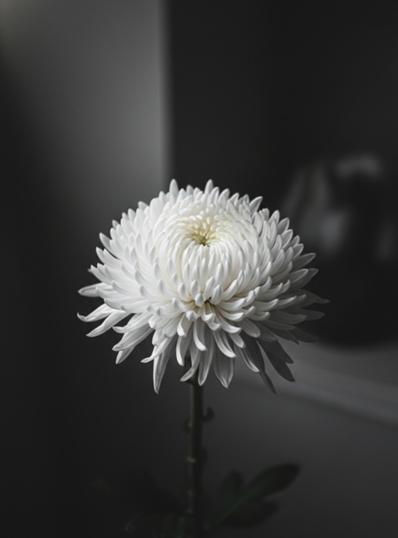 기사의 이해를 돕기 위한 AI 생성 이미지