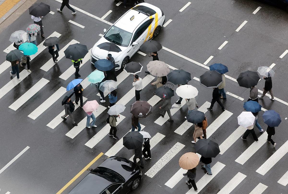 전국에 내리는 봄비 / 뉴스1