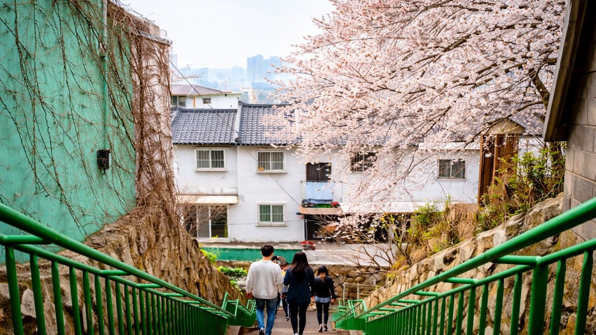 개금벚꽃길. / 부산시 공식 블로그, AI