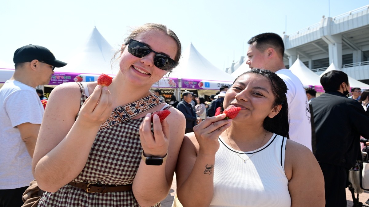 딸기축제장 / 논산시